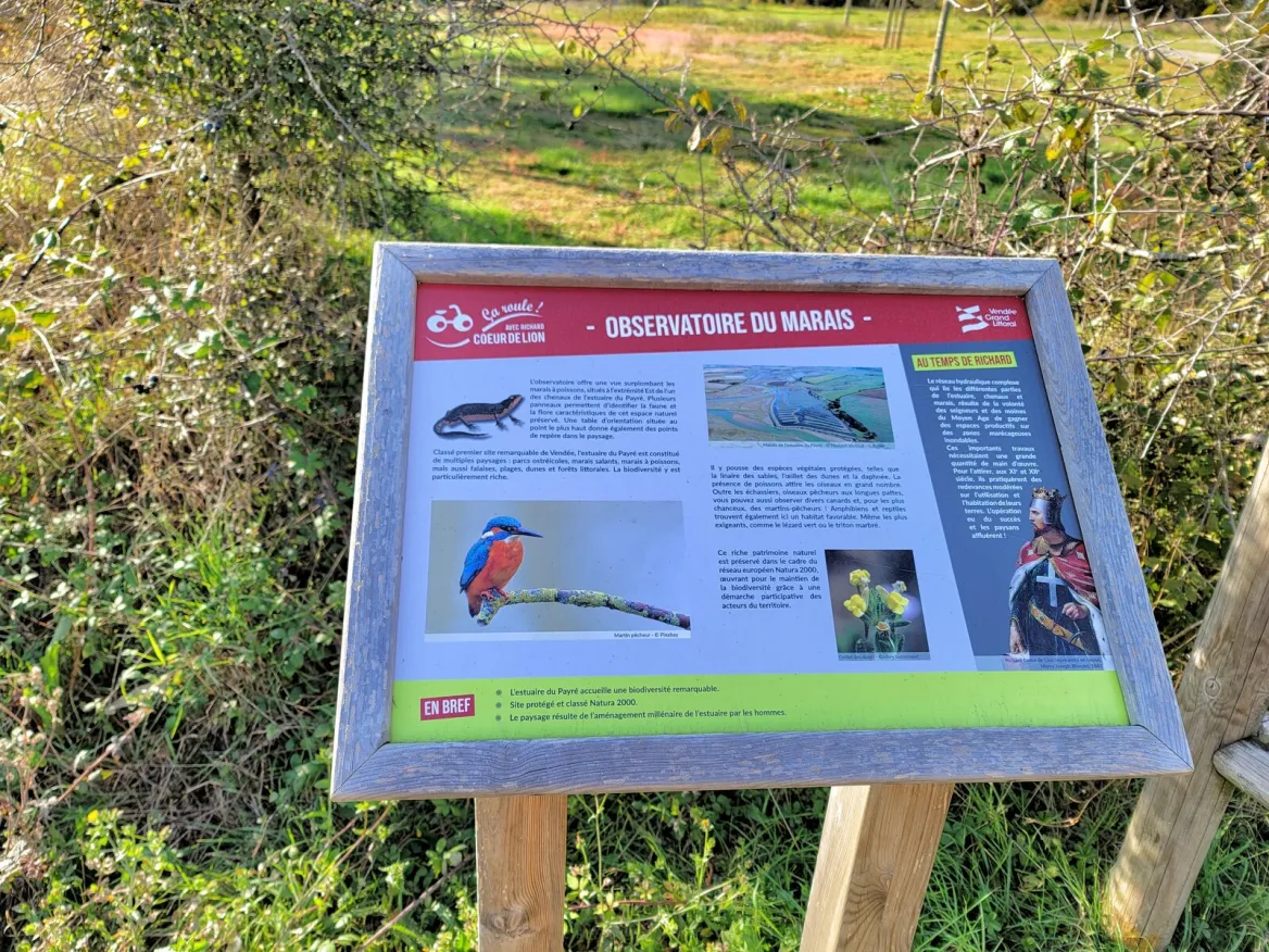 interpretation panels