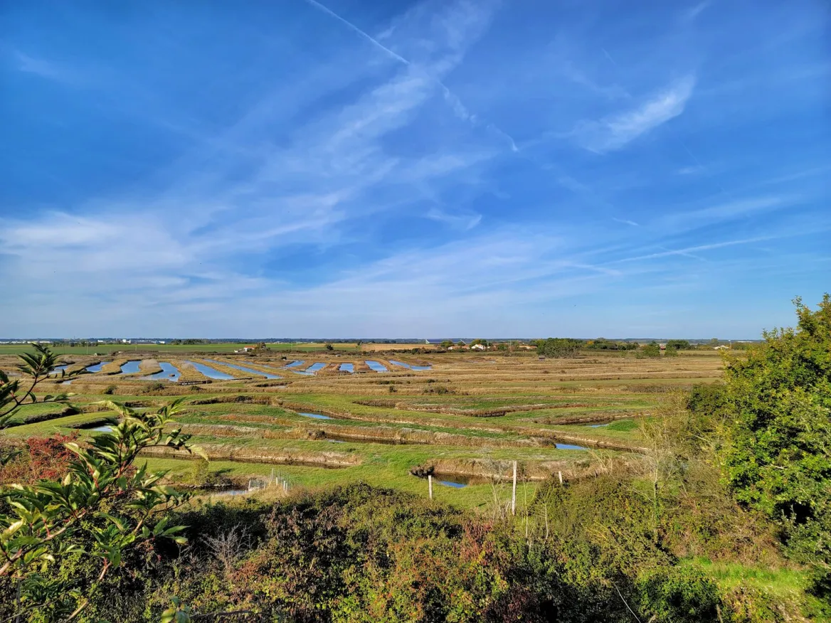 The marsh observatory