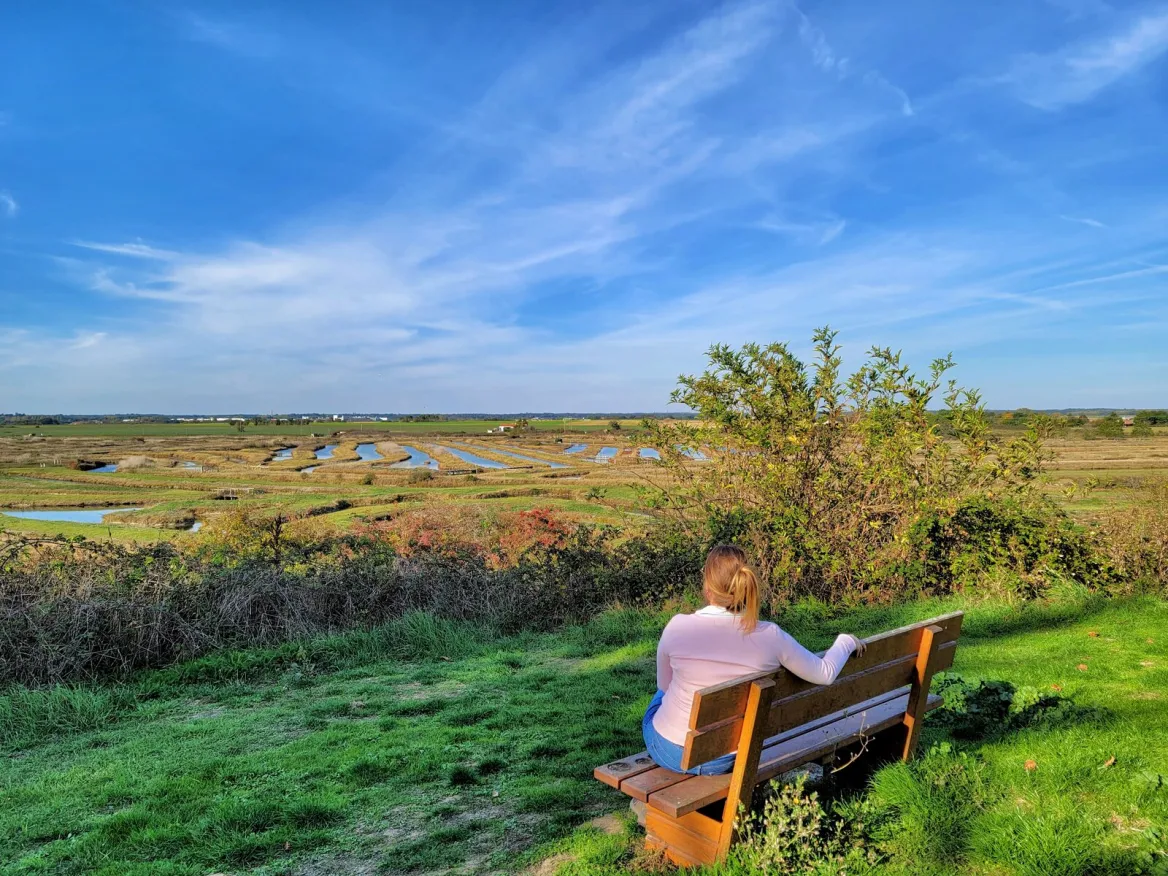 The marsh observatory