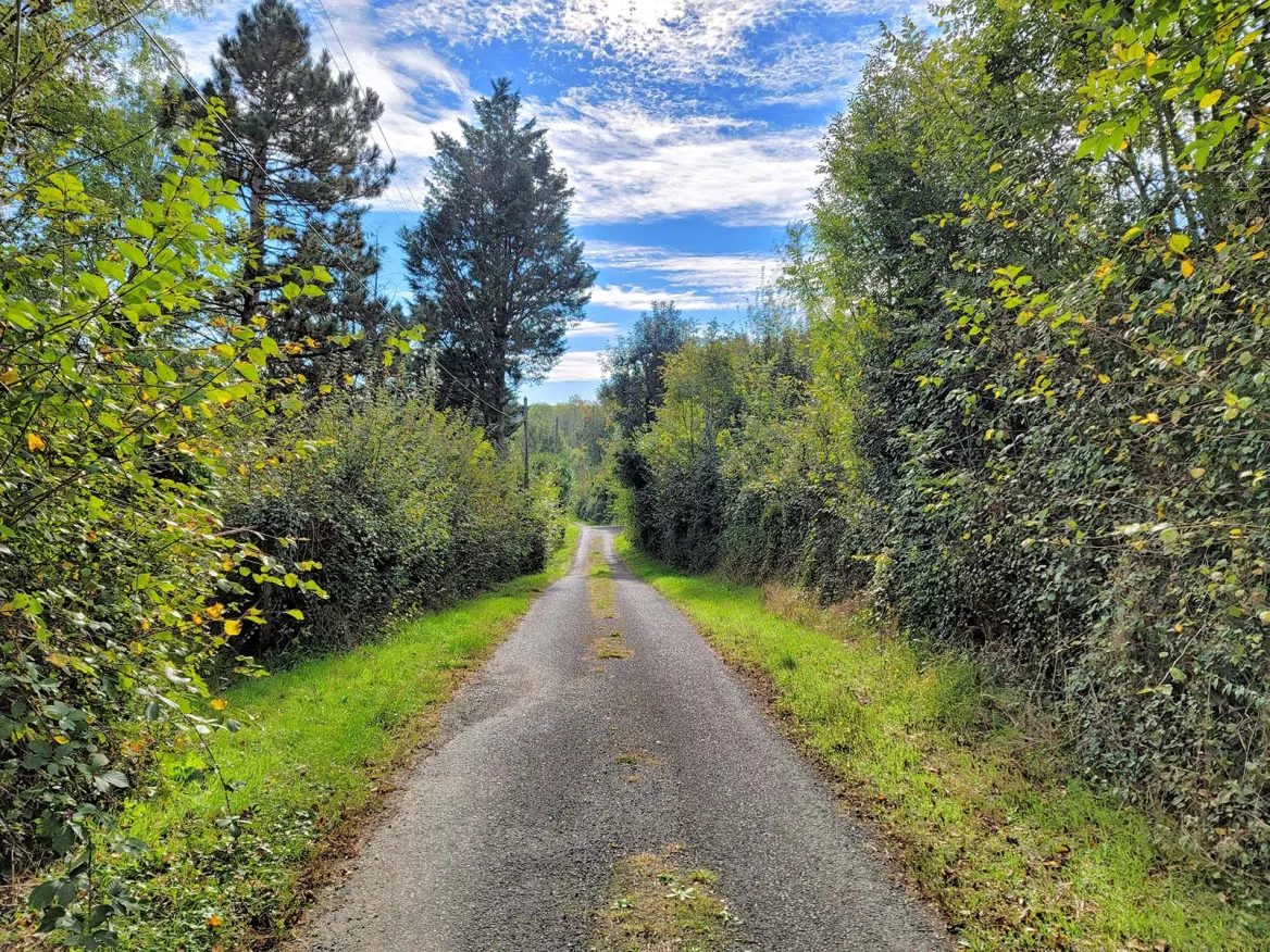 Mervent