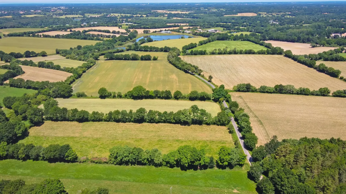 Vendée bocage