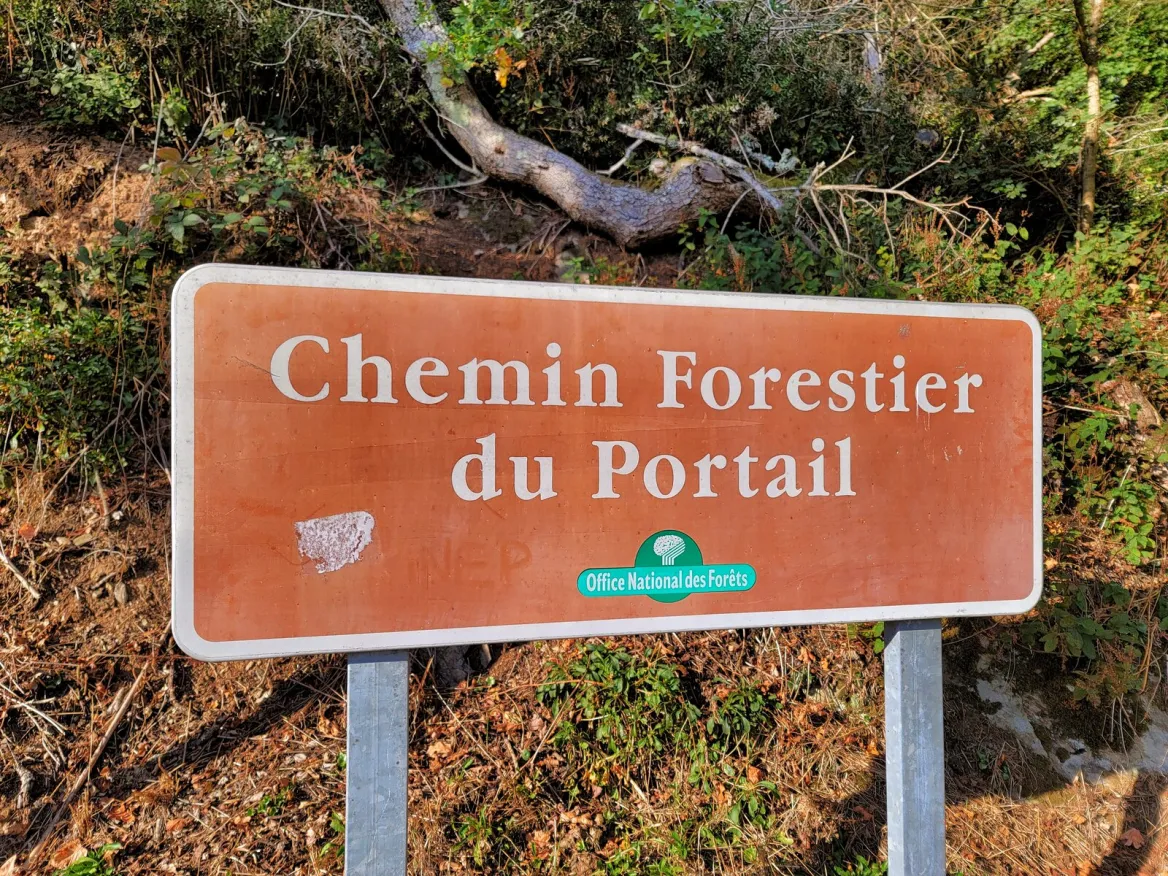 Mervent forest
