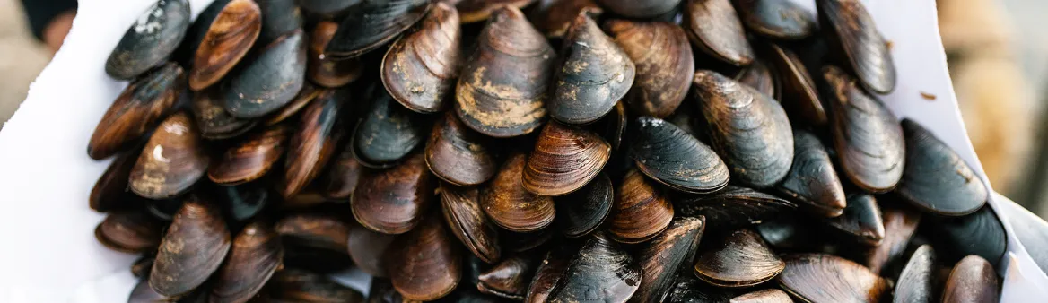 mussels- @ pexels-julia-volk