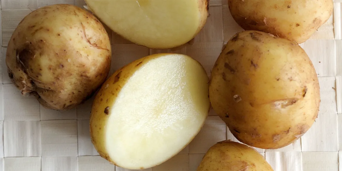 Bonnotte Potato