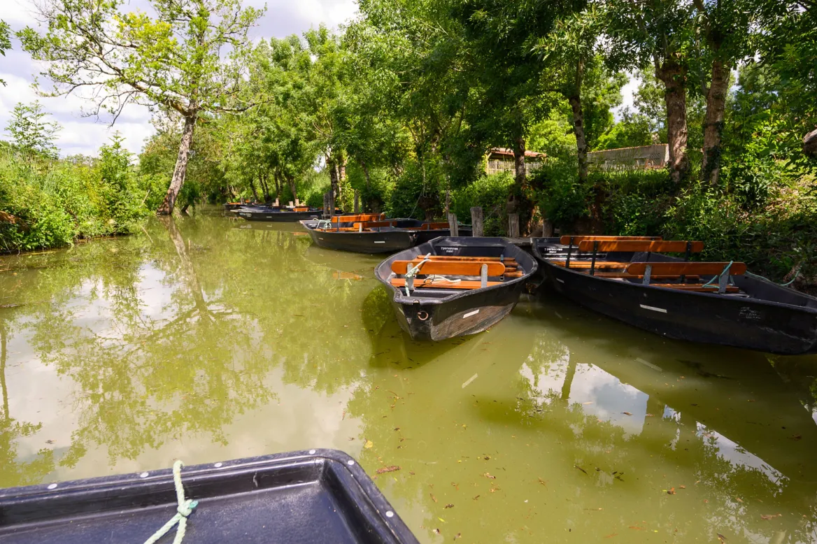 Le Marais Poitevin à Maillezais