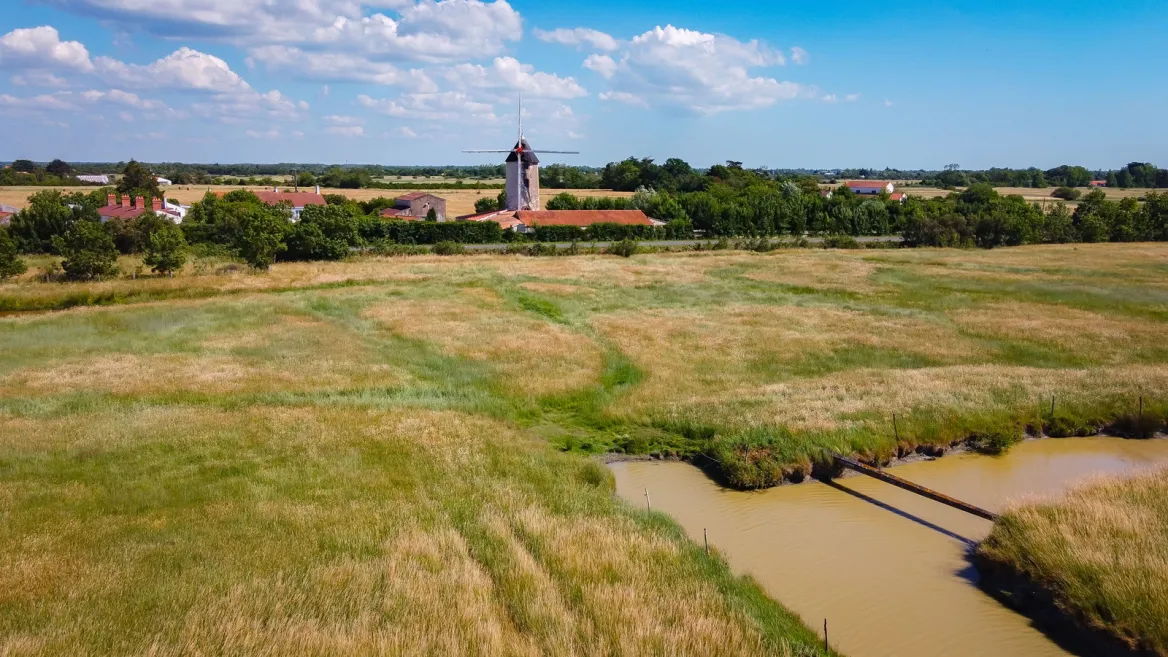 Marais salants