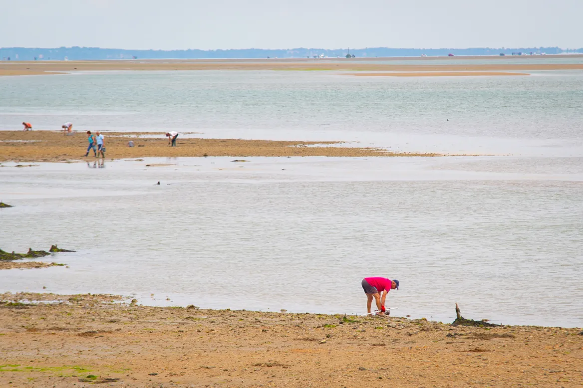 Pêche à pied