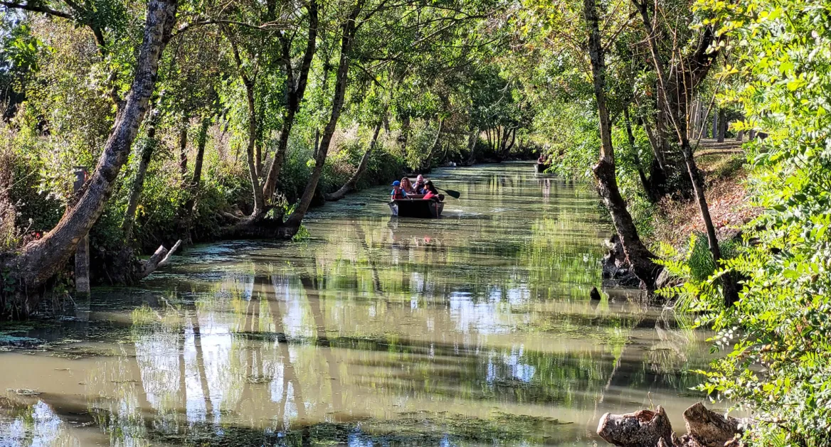 Mallezais wet marsh