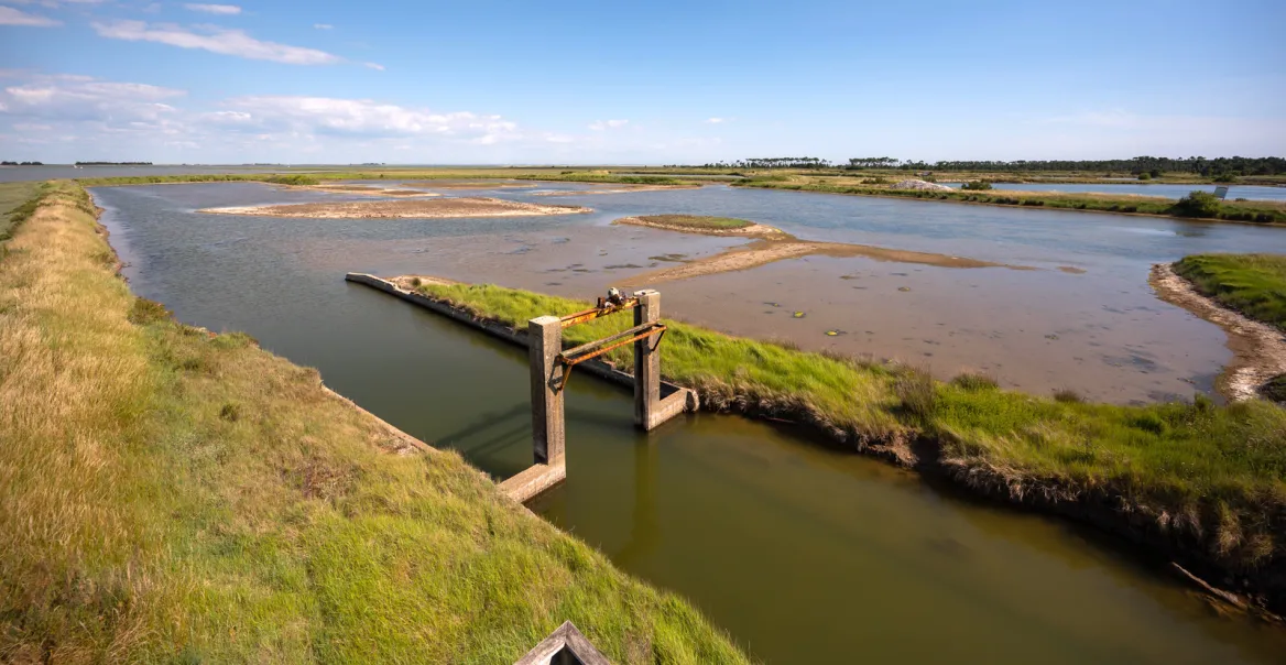 The Pointe d'Arcay Guide to the Vendée