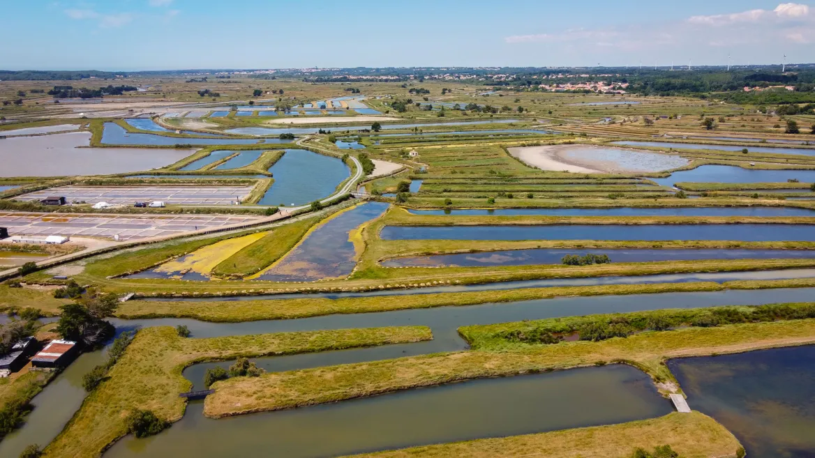 Ile d'Olonne Guide de la Vendée