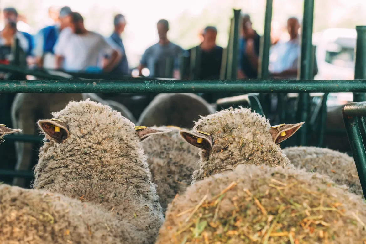 Crédit : AdobeStock / Bits and Splits
