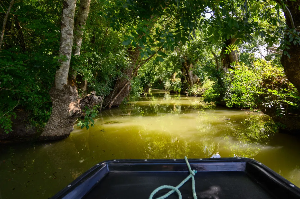 Le Marais Poitevin