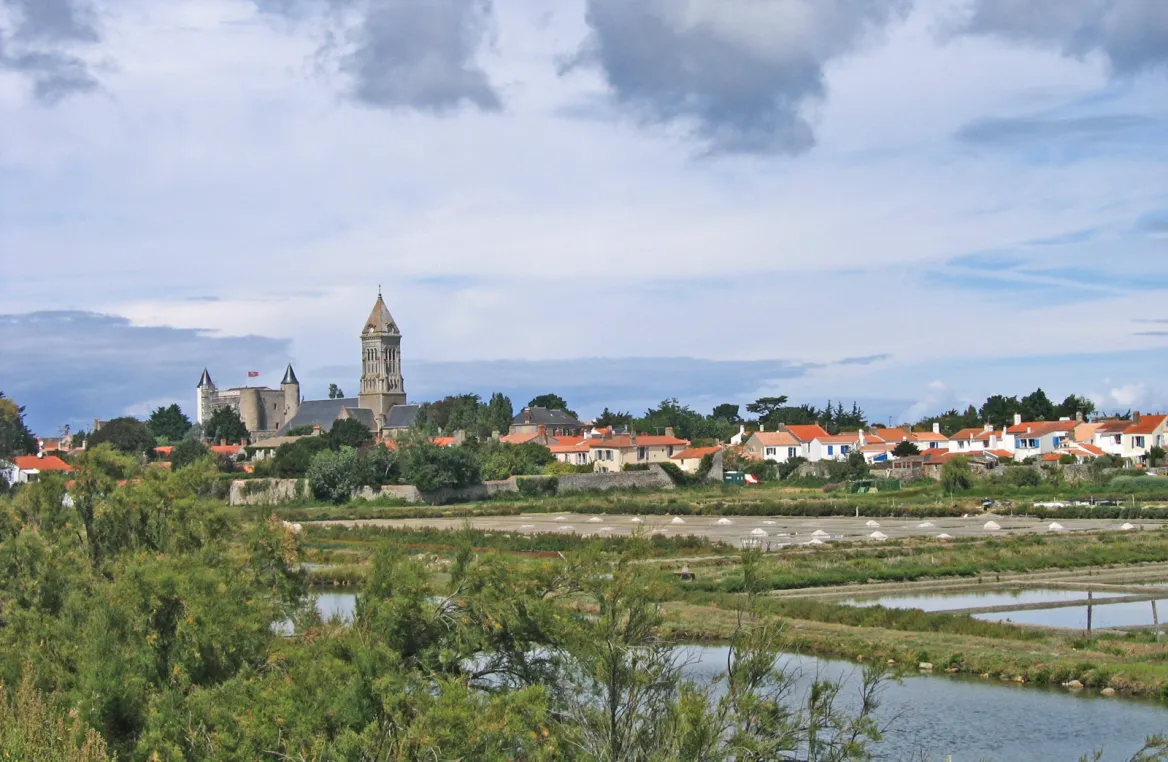 Noirmoutier en ile Photo : Damien AdobeStock