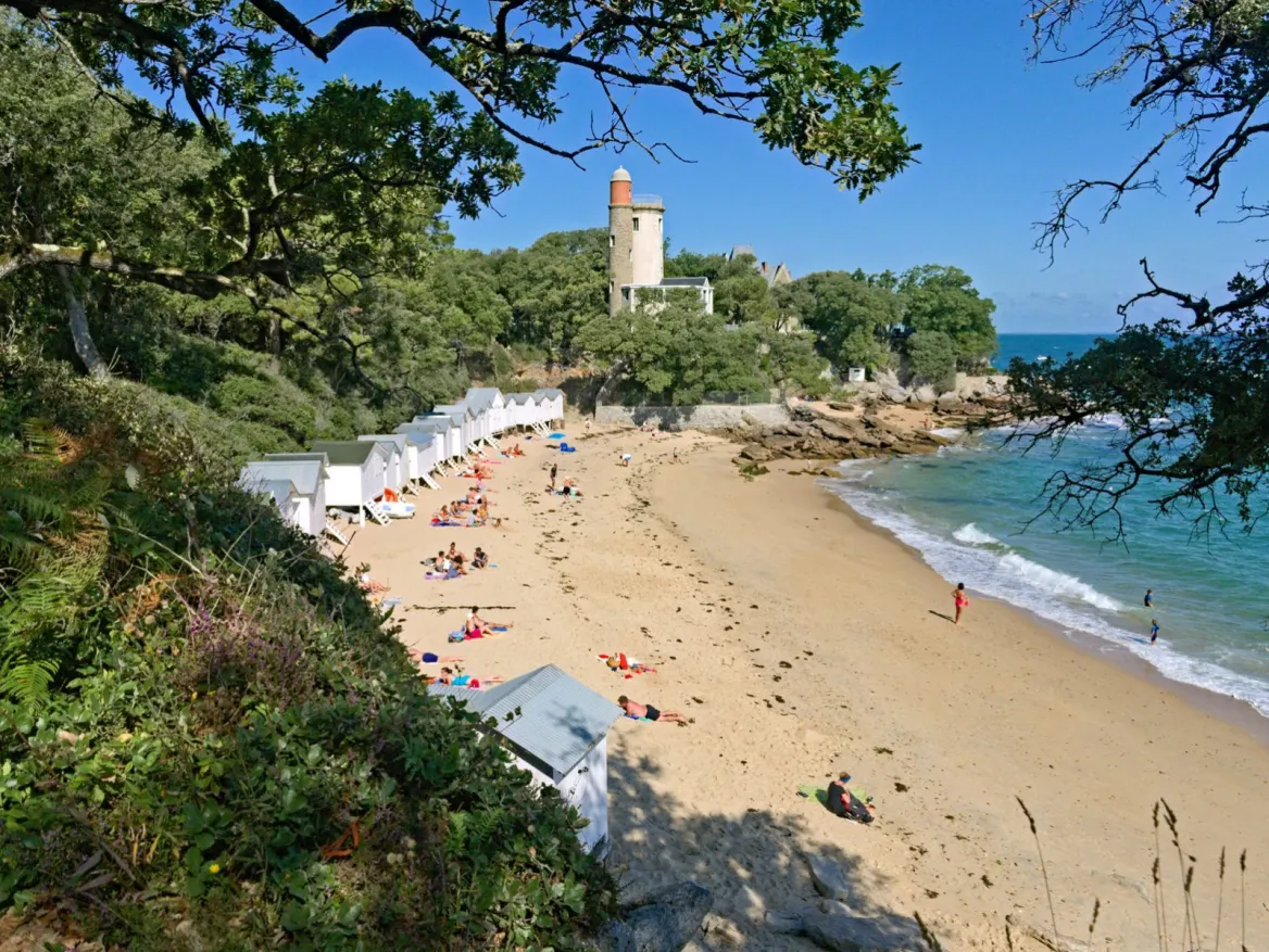 Le Bois de la Chaize Photo : AdobeStock_ JBOP