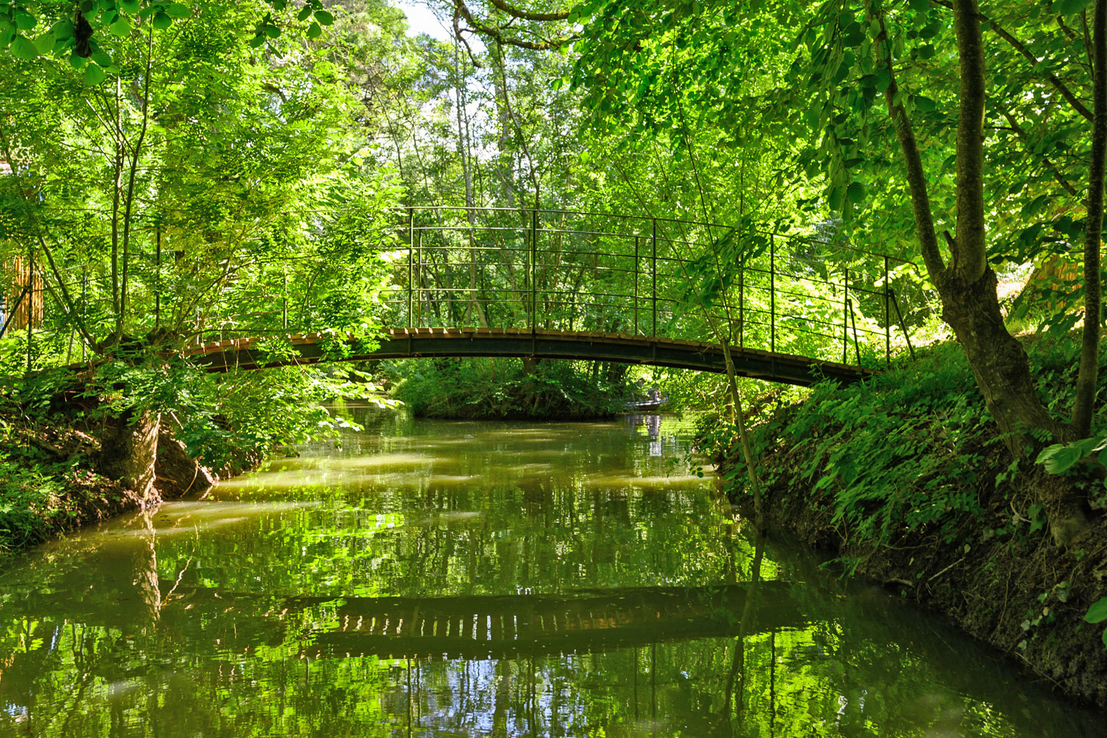 Landscapes of the Marais Poitevin