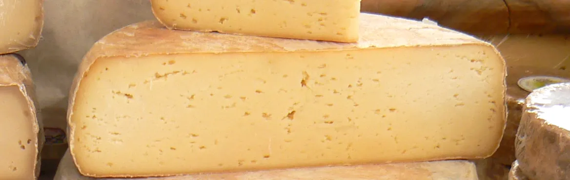 La Tomme des Chouans
