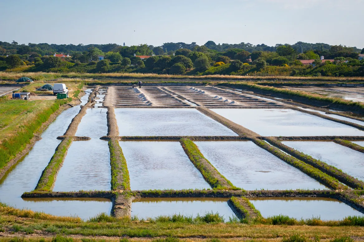 Les Marais salants de l'île de Noirmoutier