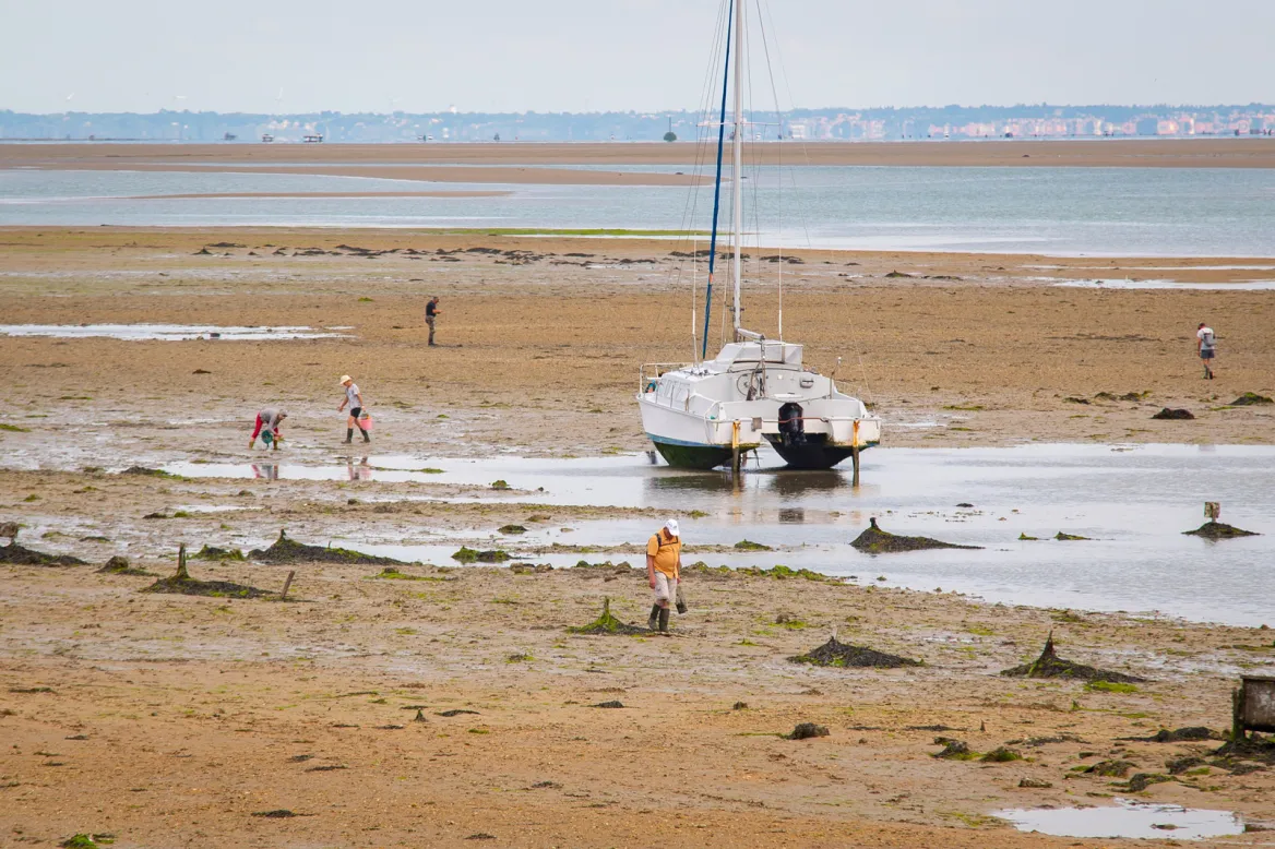 Peche à pied à Noirmoutier