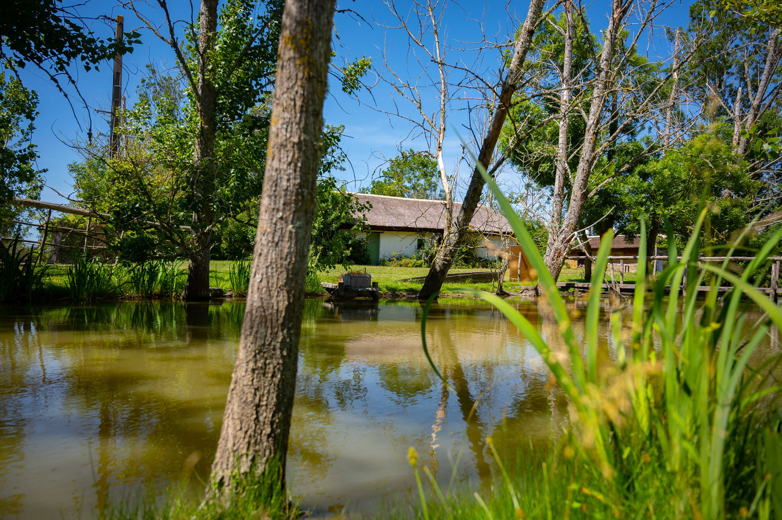 Le Marais Breton Vendéen à Sallertaine