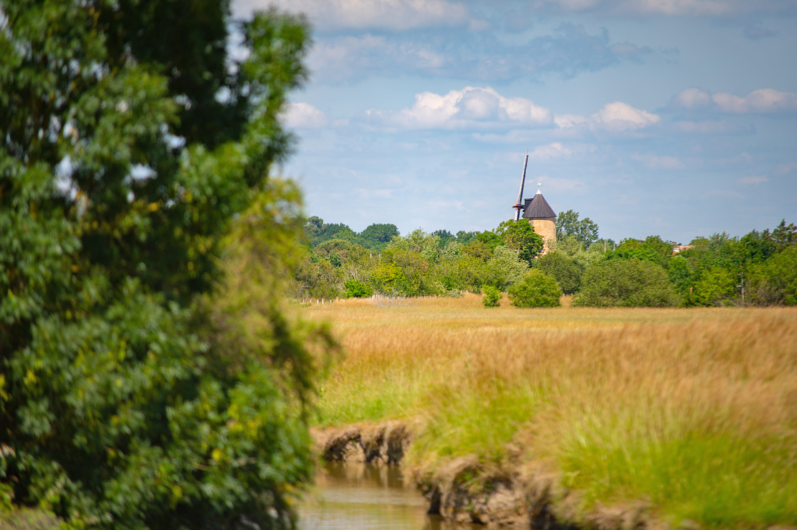 Sallertaine et son moulin à vent