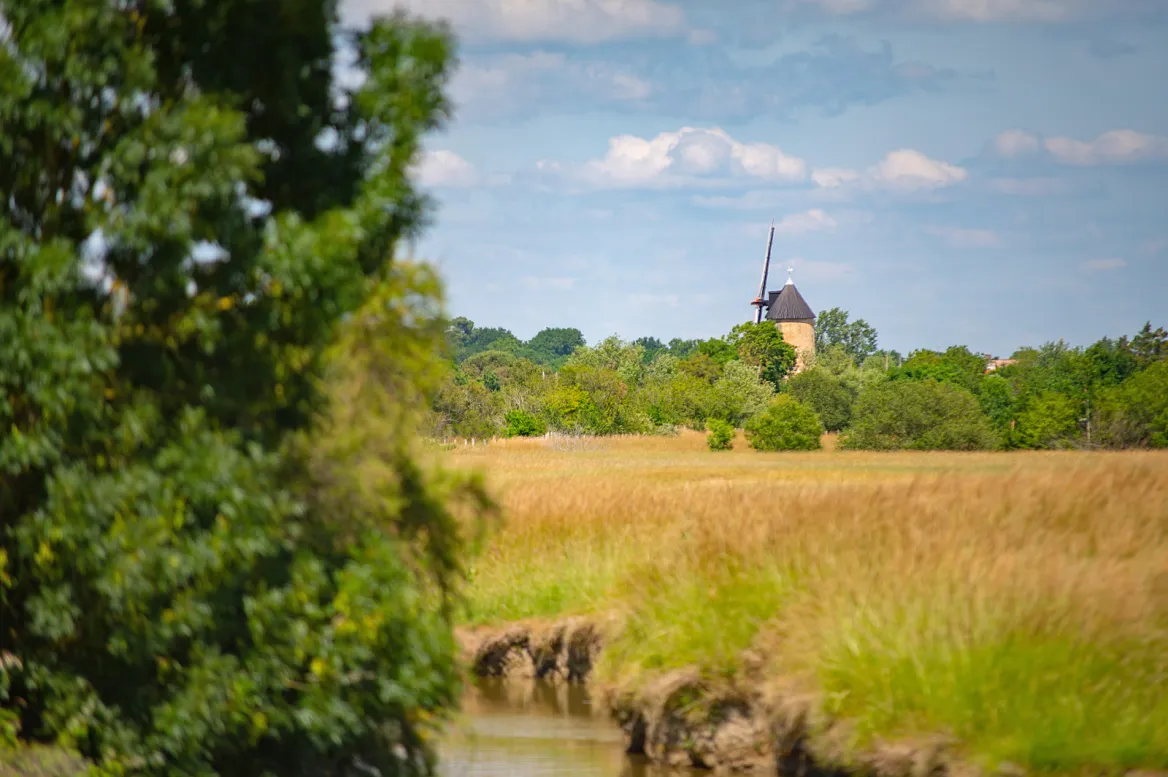Sallertaine et son moulin à vent