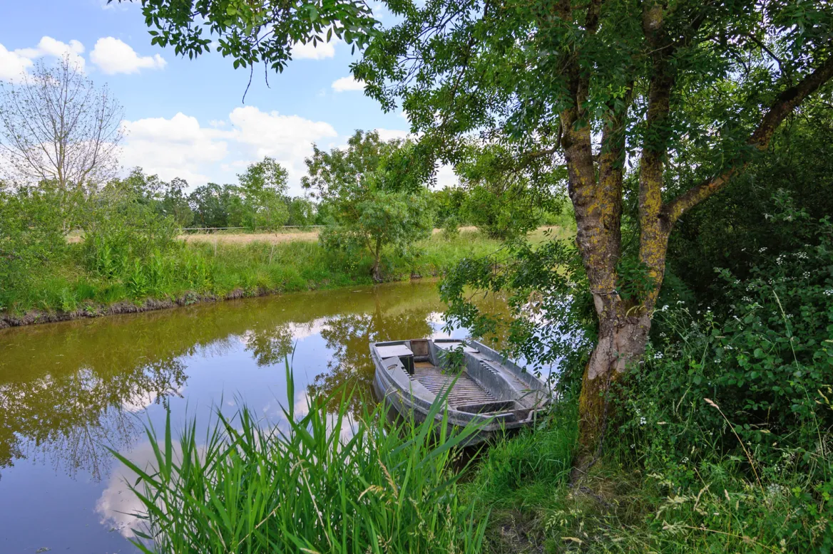Lucon The Canal